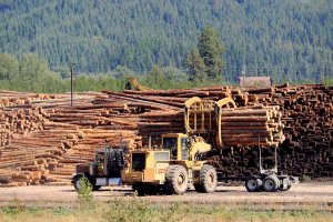 forestry bill